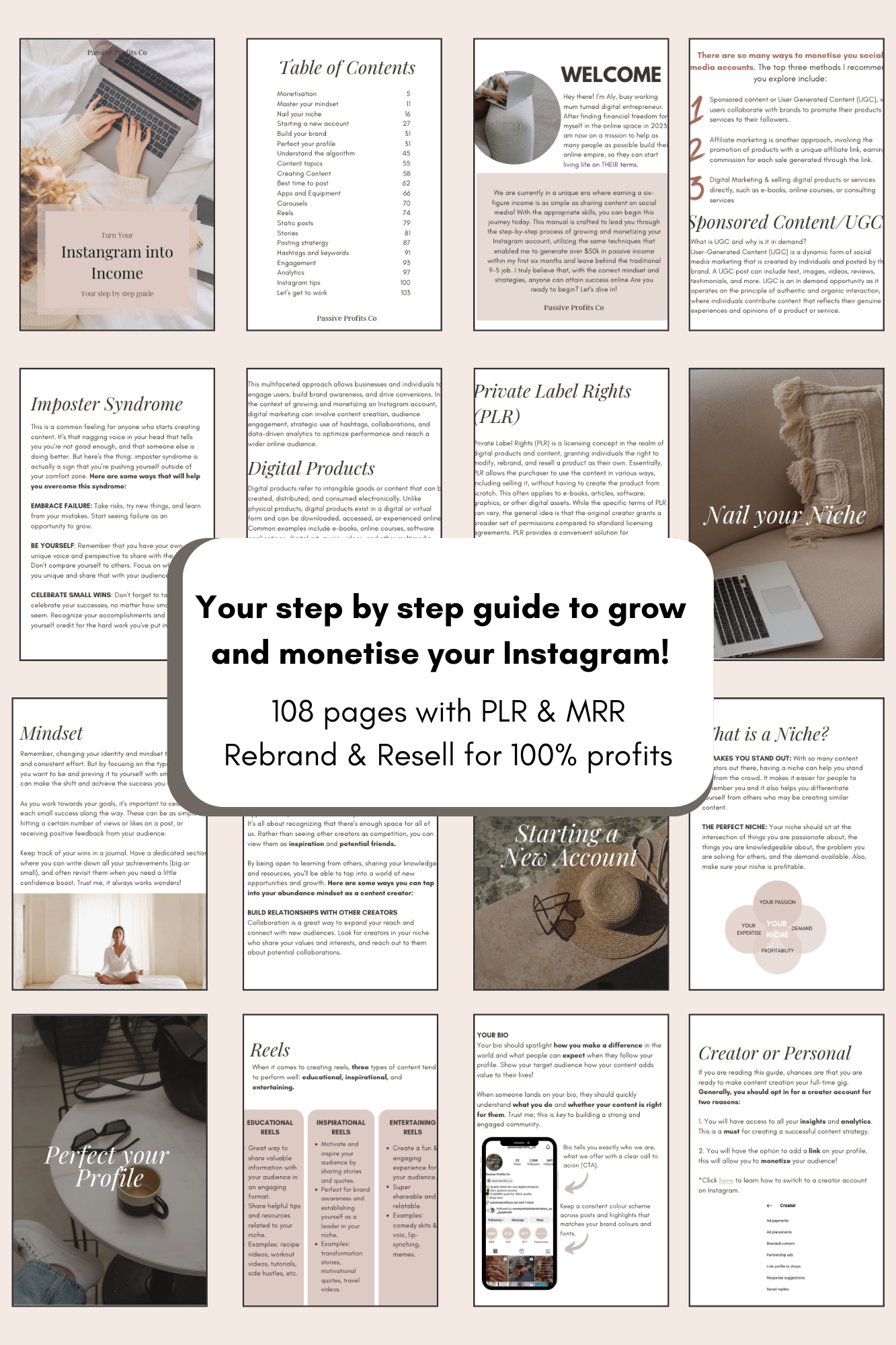 Turn your Instagram into Income
